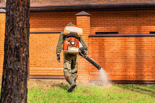 Trusted Emergency Pest Control service in Mount Washington, KY - Nex Pest Control
